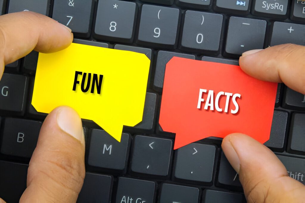Lovelolablog Fun Facts